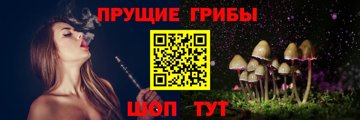 Галлюциногенные грибы Psilocybine cubensis  Псилоцибиновые грибы Cubensis  Ивантеевка  Вход с VPN 